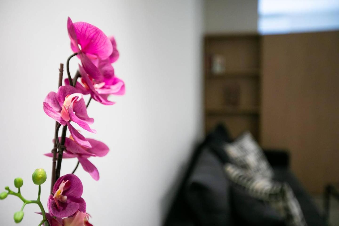 Toni'S Studio Syntagma, 1 Min From Metro Station Atina Dış mekan fotoğraf
